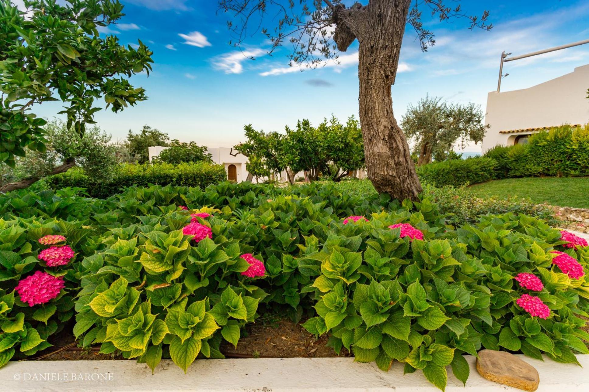 Baia Delphis Resort Vasto Ngoại thất bức ảnh